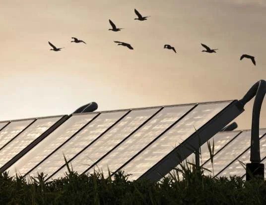 solar_heating_2
