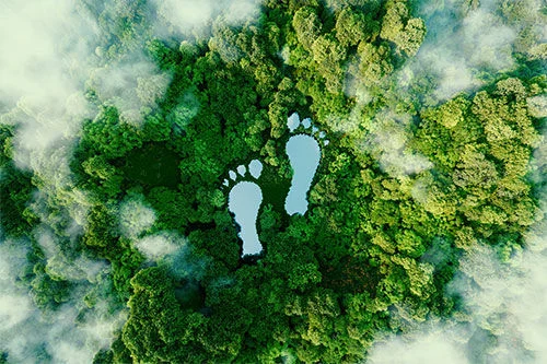 SWEP within CO2 solutions